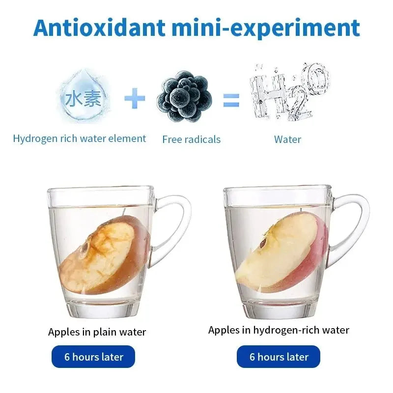 HydroVitality Hydrogen Water Bottle